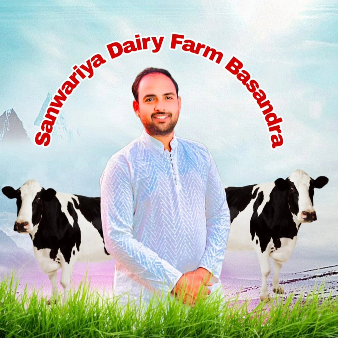 Panjab cow MP indore me | Manoj Rathore Manoj Rathore | Facebook