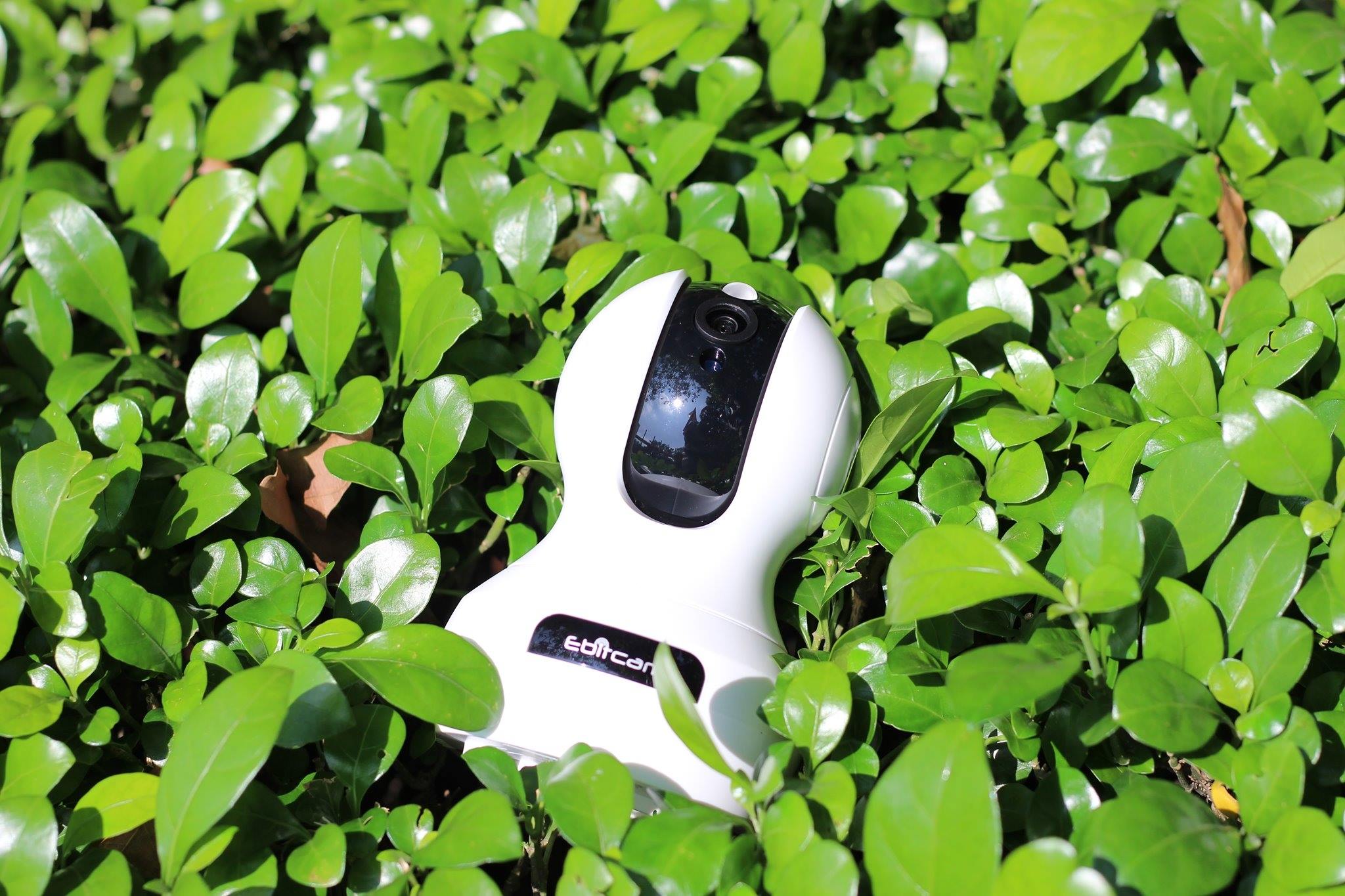 Camera Bỉm Sơn