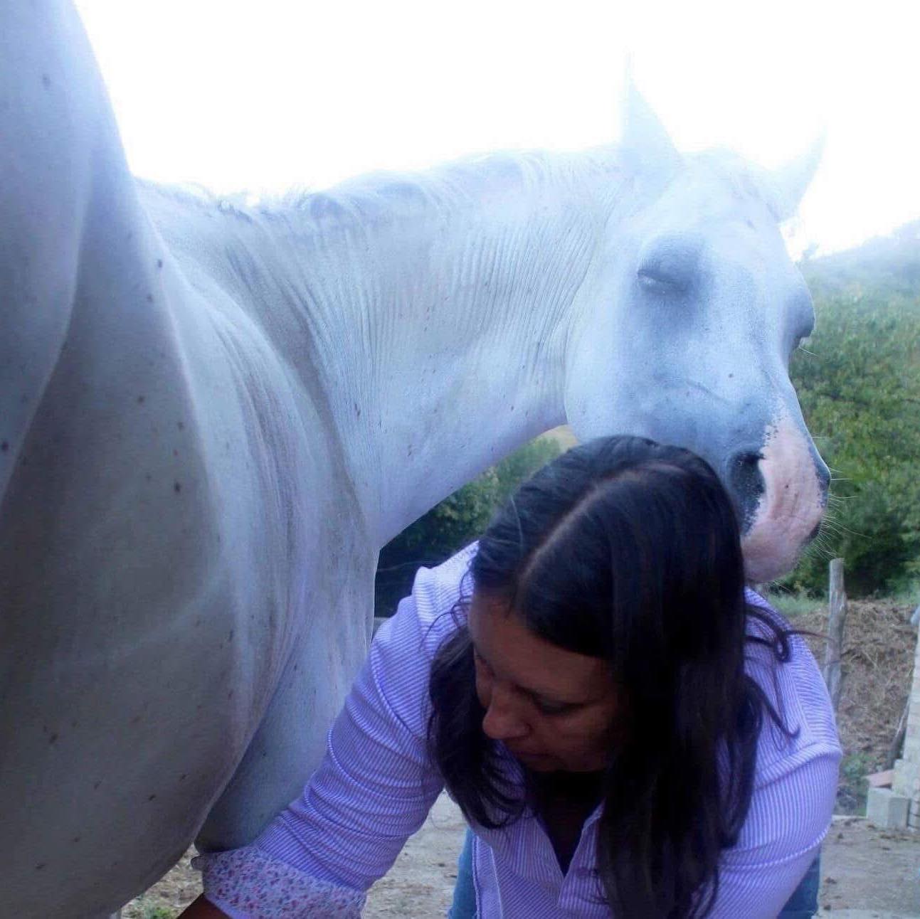 Horse Track System | Round bale nets that come with 1” holes - can ...