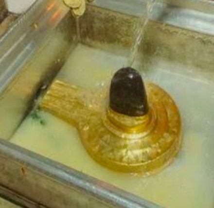 ಶ್ರೀಧರ್ ಉಡುಪ