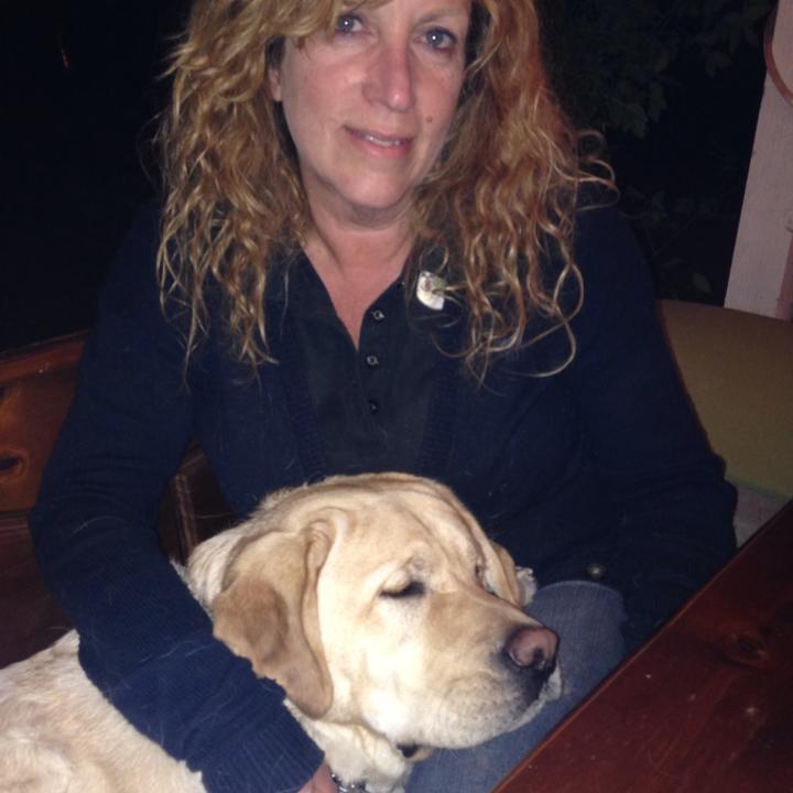 Dog Days Ranch | Poway CA