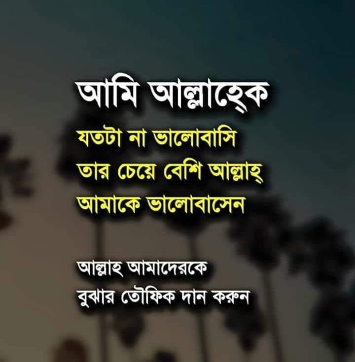 Md Robiul Islam Robi