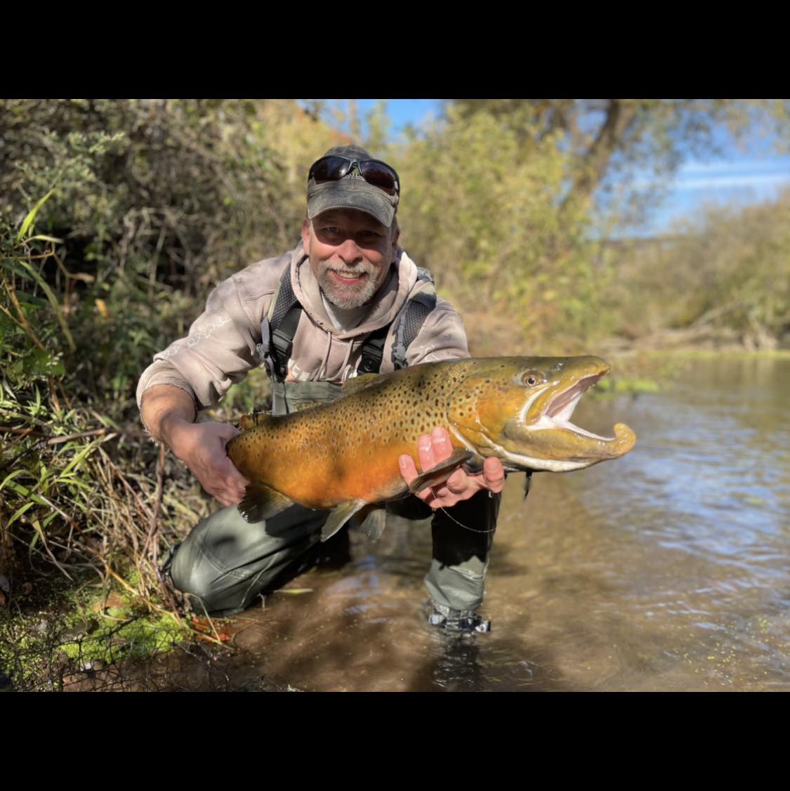 Excalibur Crossbow Owners | To everyone who's going to be hunting off ...
