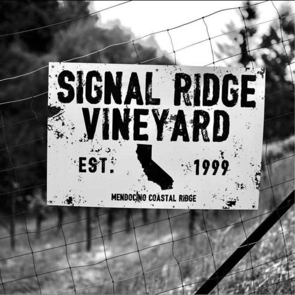 Signal Ridge Vineyard | Philo CA