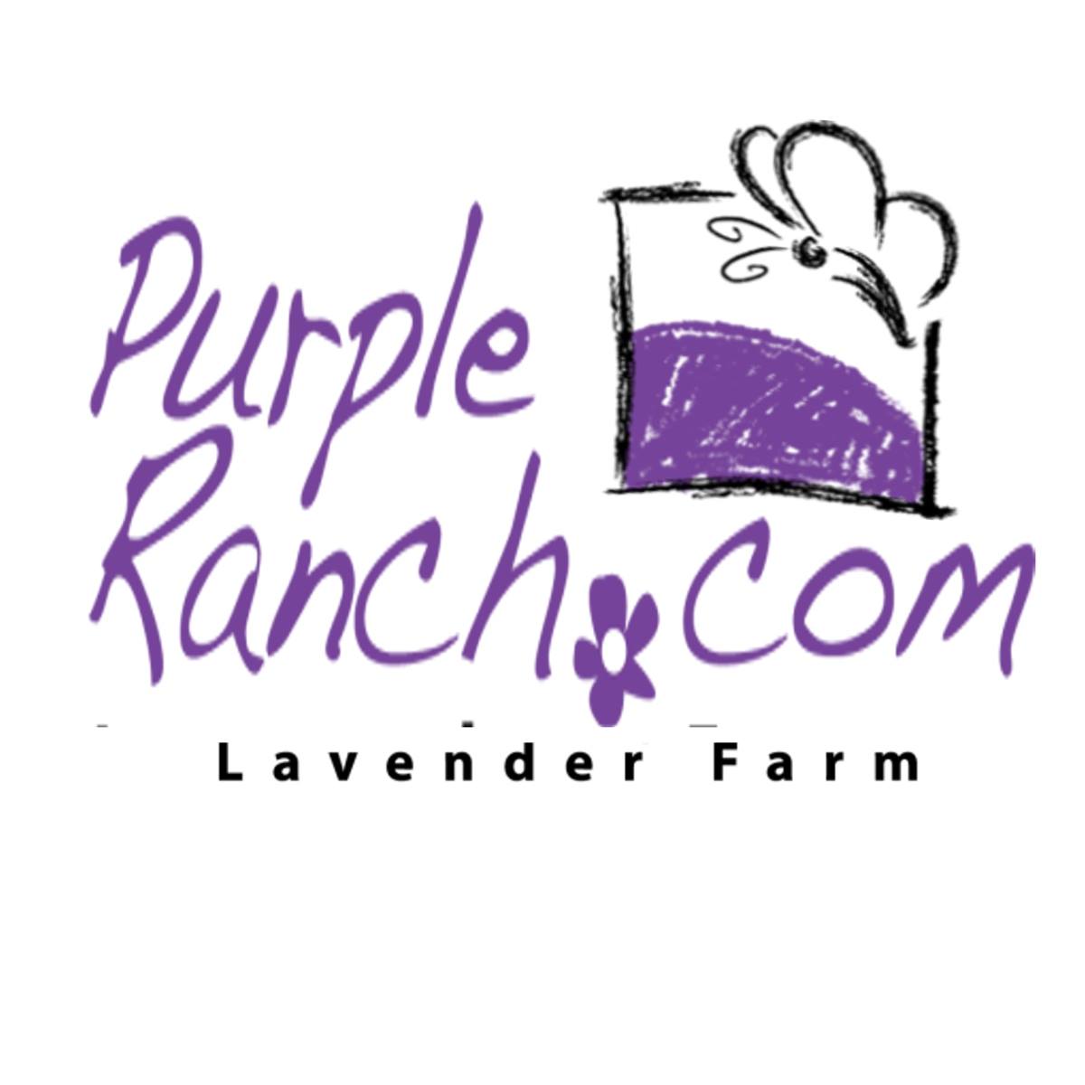Purple Ranch Lavender Farm | Nevada TX