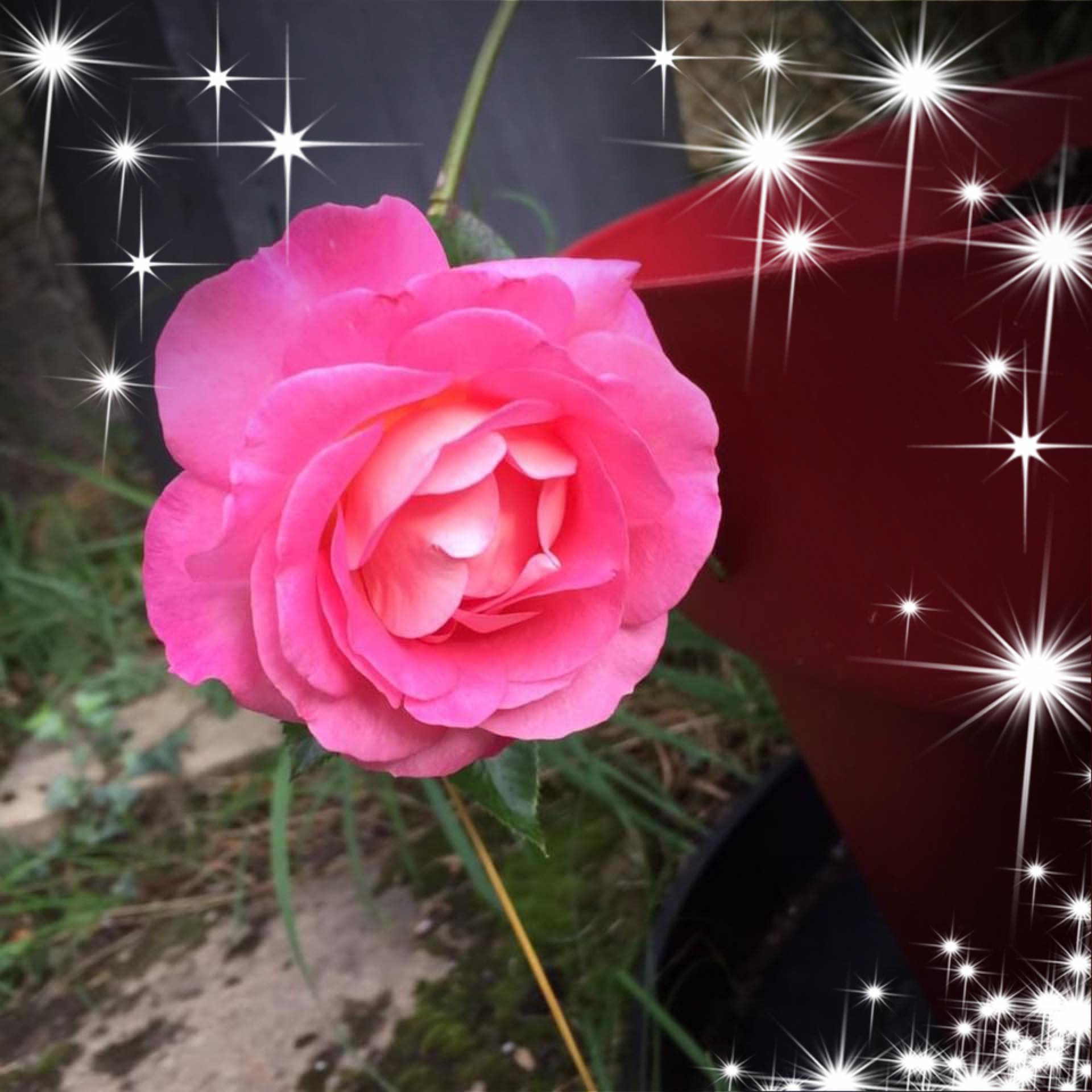 Dewsbury Matters | Walking around the old Dewsbury Market earlier ...