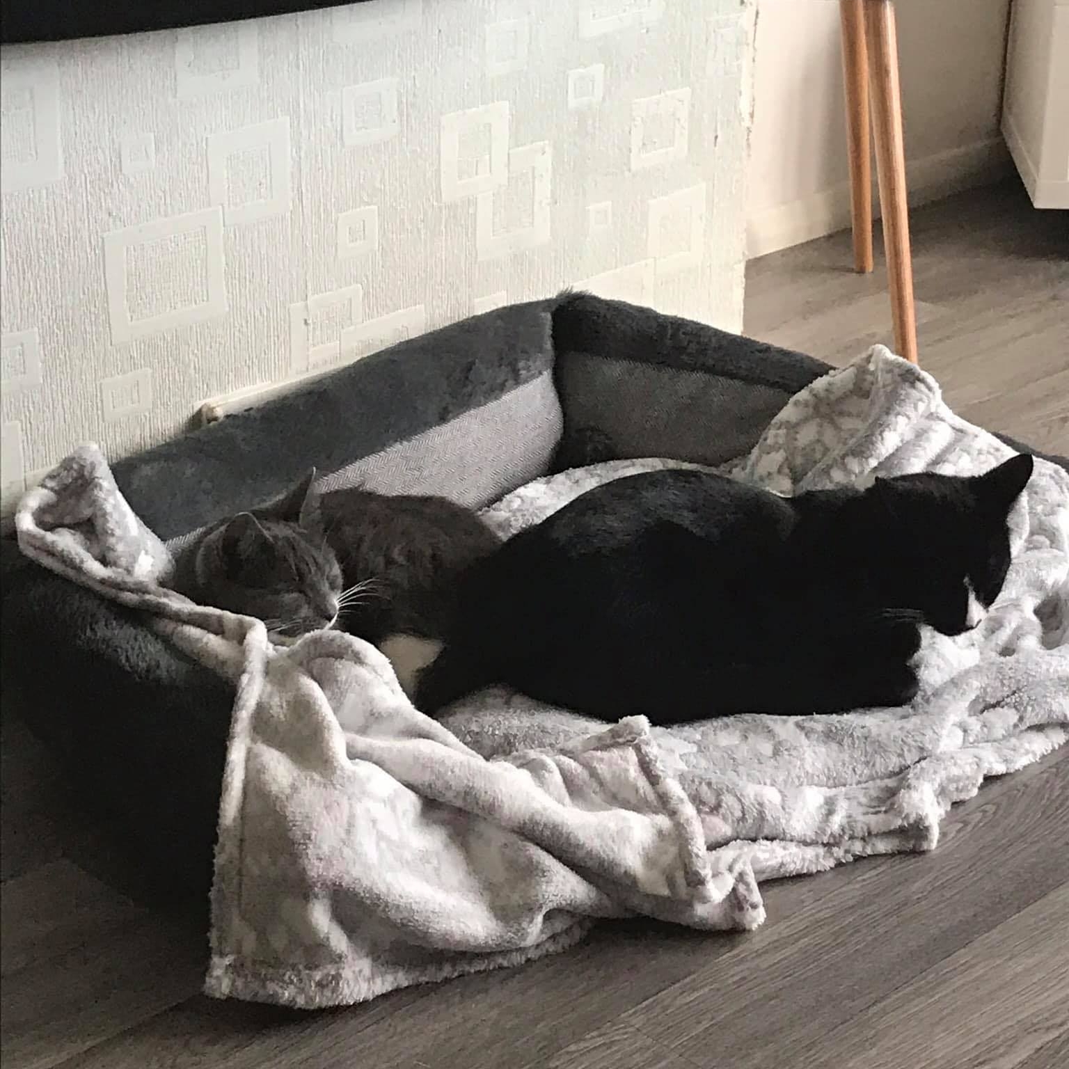 A little Mum update before I go to bed ️ Unfortunately, she’s not doing ...