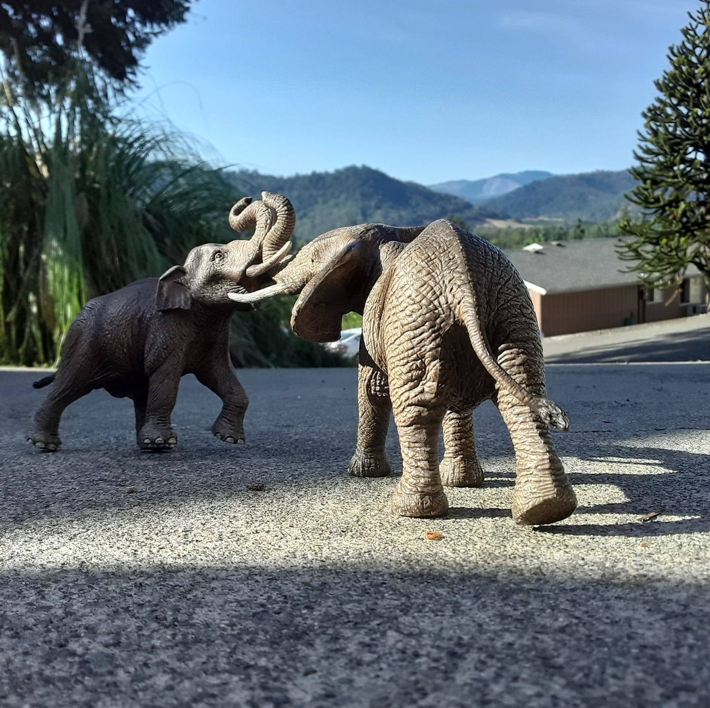 Prime - Jurassic Park series #jurassicpark #trex #triceratops #statue # ...