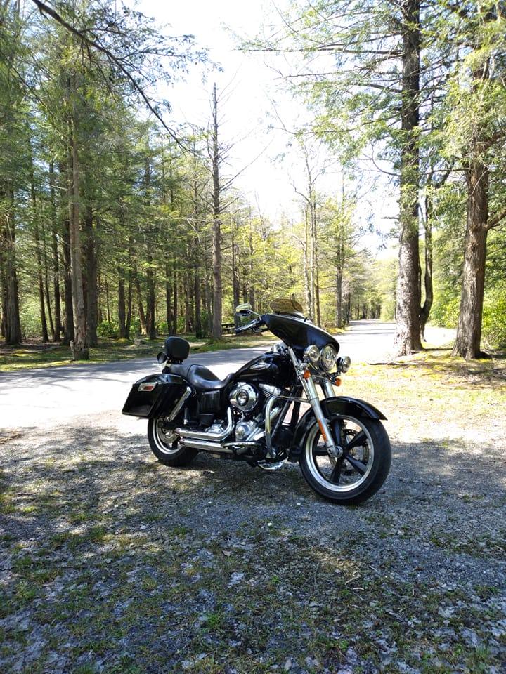 Dyna Switchback Owners | I have a question I want to know speedometer ...