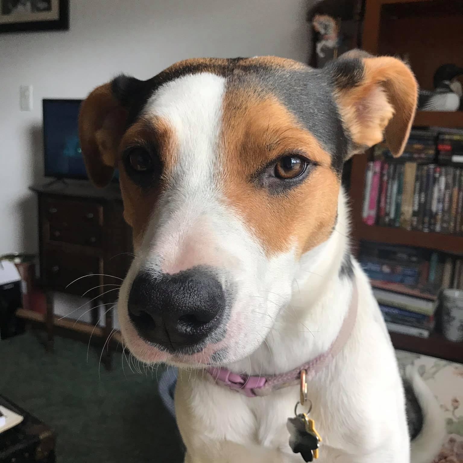 Dry Creek Fire Update Approximately 100 fire personnel are on scene ...
