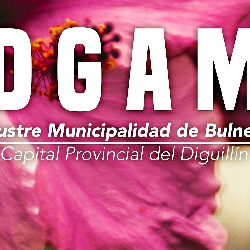 DGAM -Departamento de Gestión Ambiental Ilustre Municipalidad de Bulnes