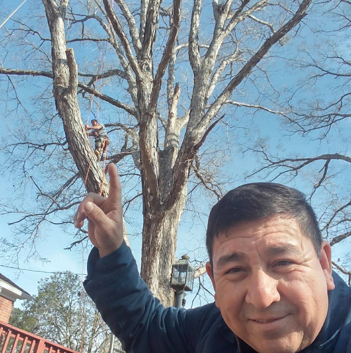 Eagle's Tree Service/ Andres M