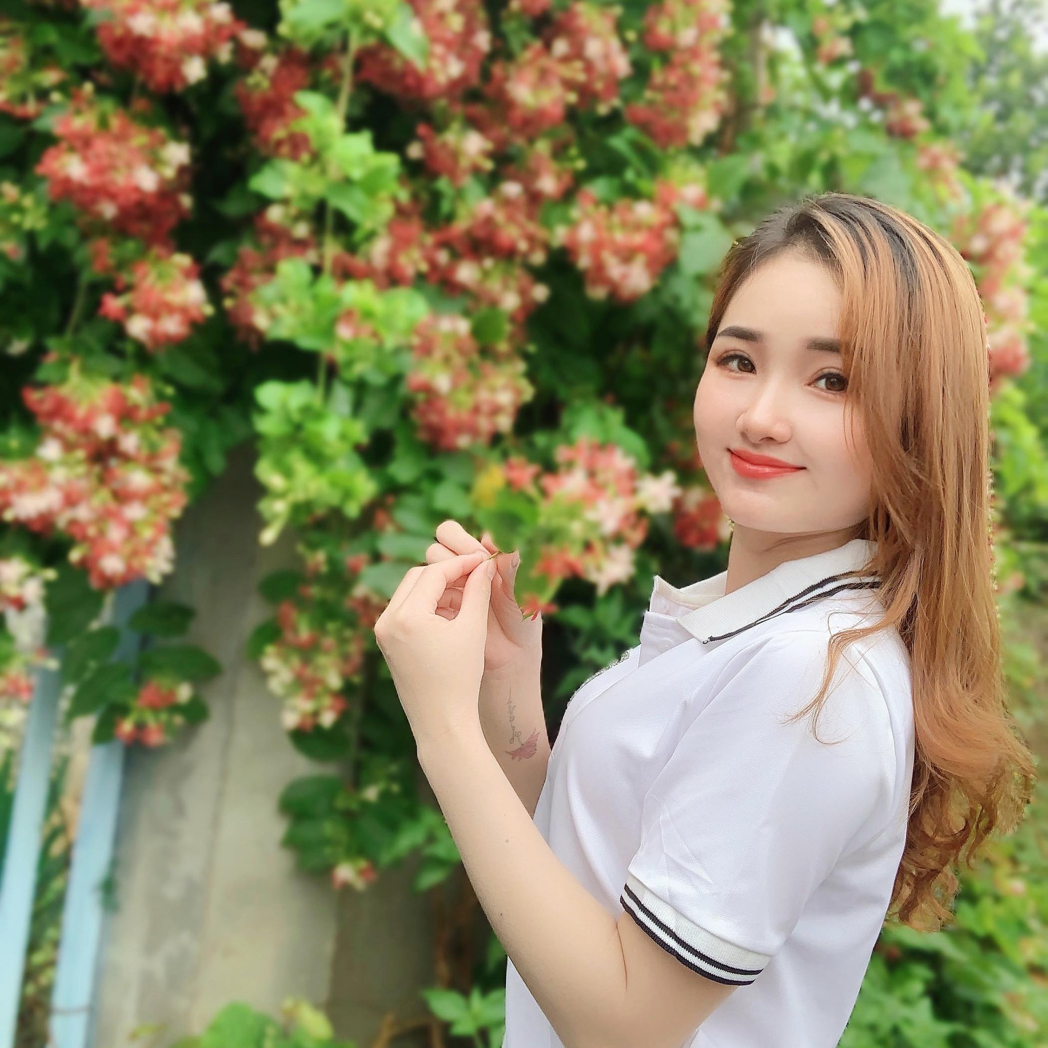 Han Ha