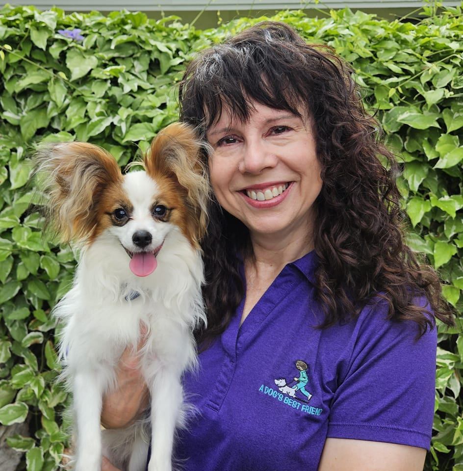 Fear Aggression Dog Training Laveen AZ