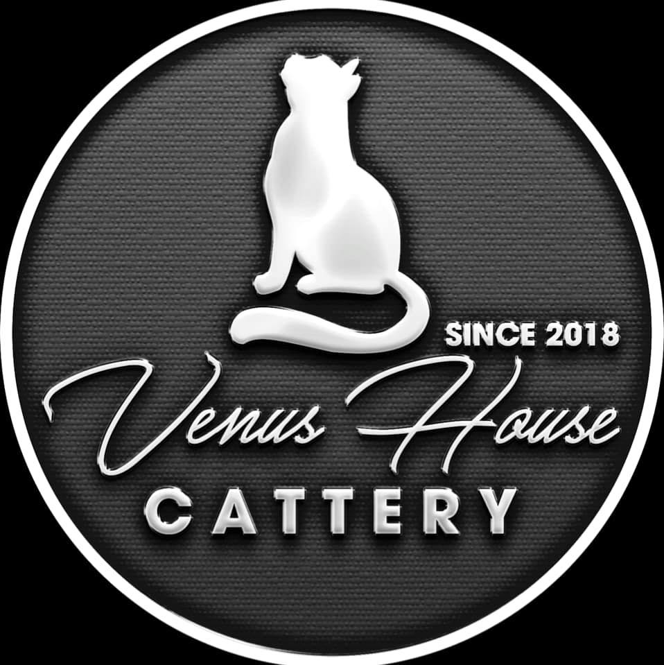 Venus House Cattery - Trại Mèo Sài Gòn, Vũng Tàu | Ho Chi Minh City