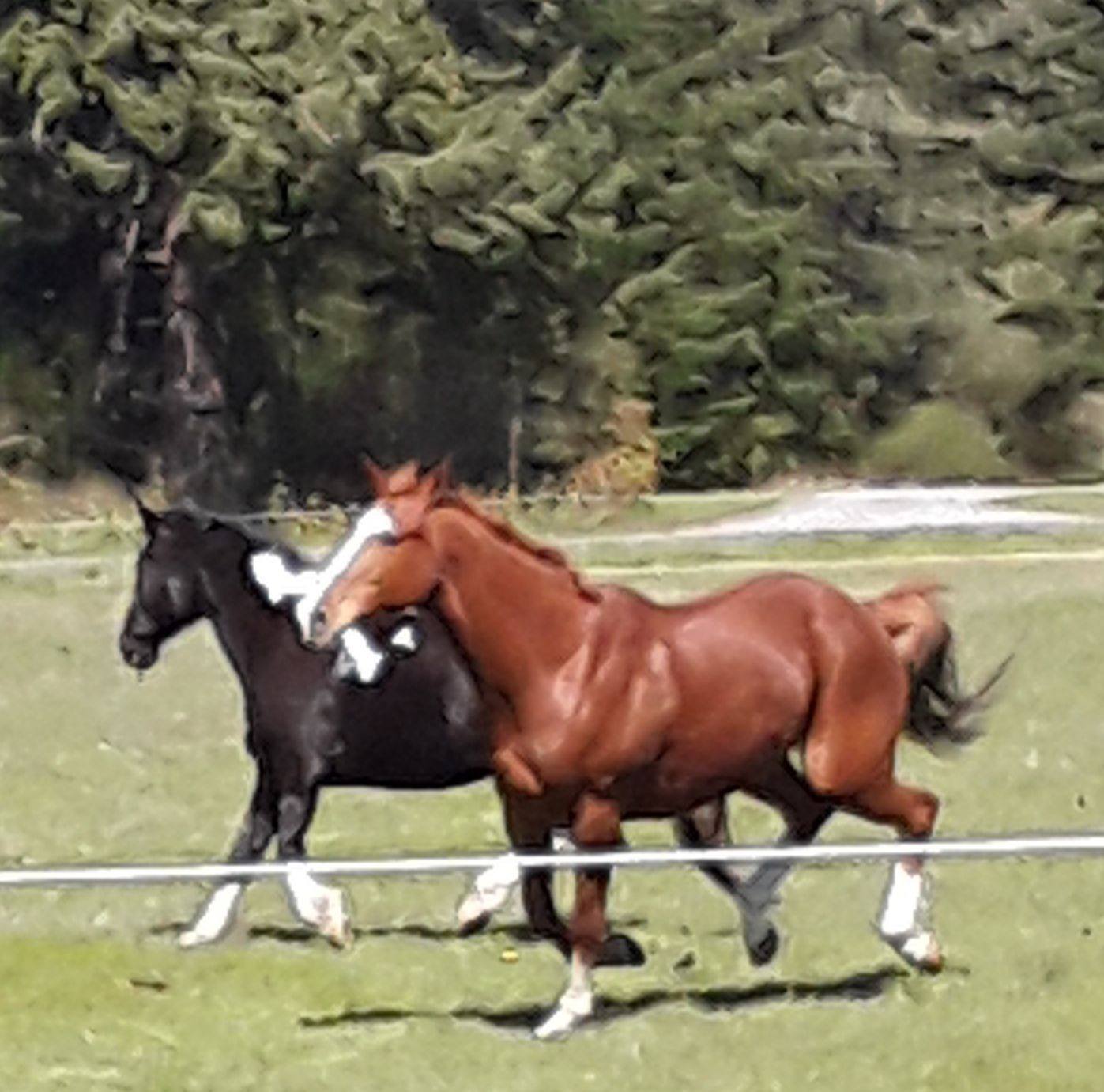 Iron Mills Ranch