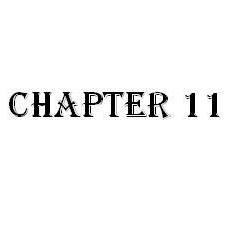 Chapter11