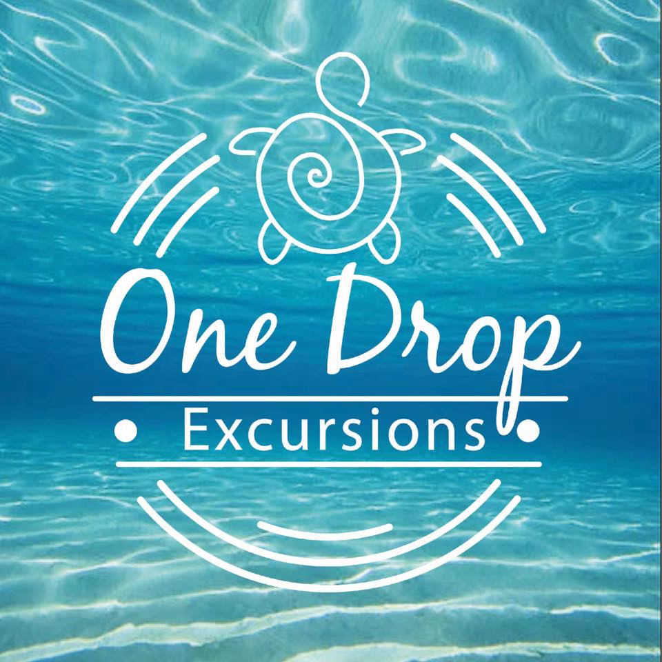 One Drop Excursions Mauritius | Grand Gaube