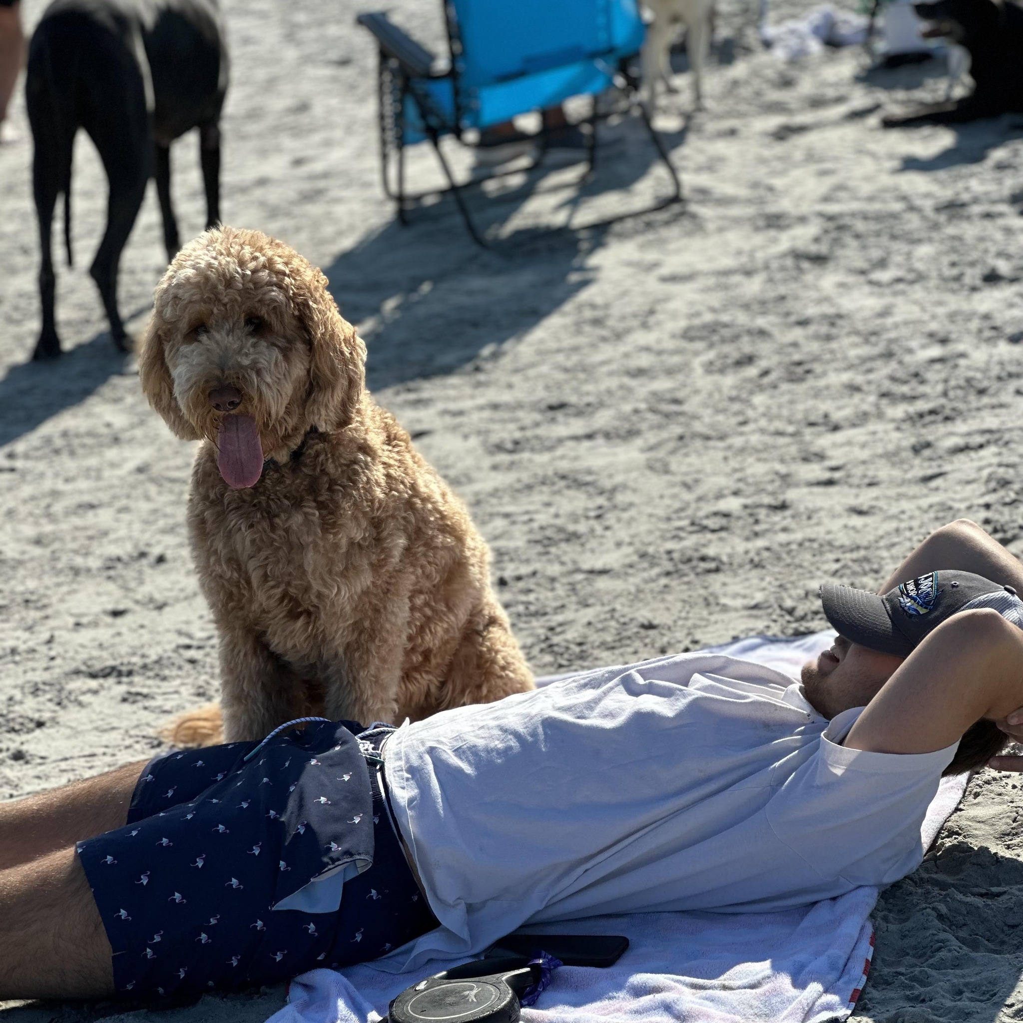 Andrew Ravitz (@andrew.ravitz.3) • Facebook, Connect with friends