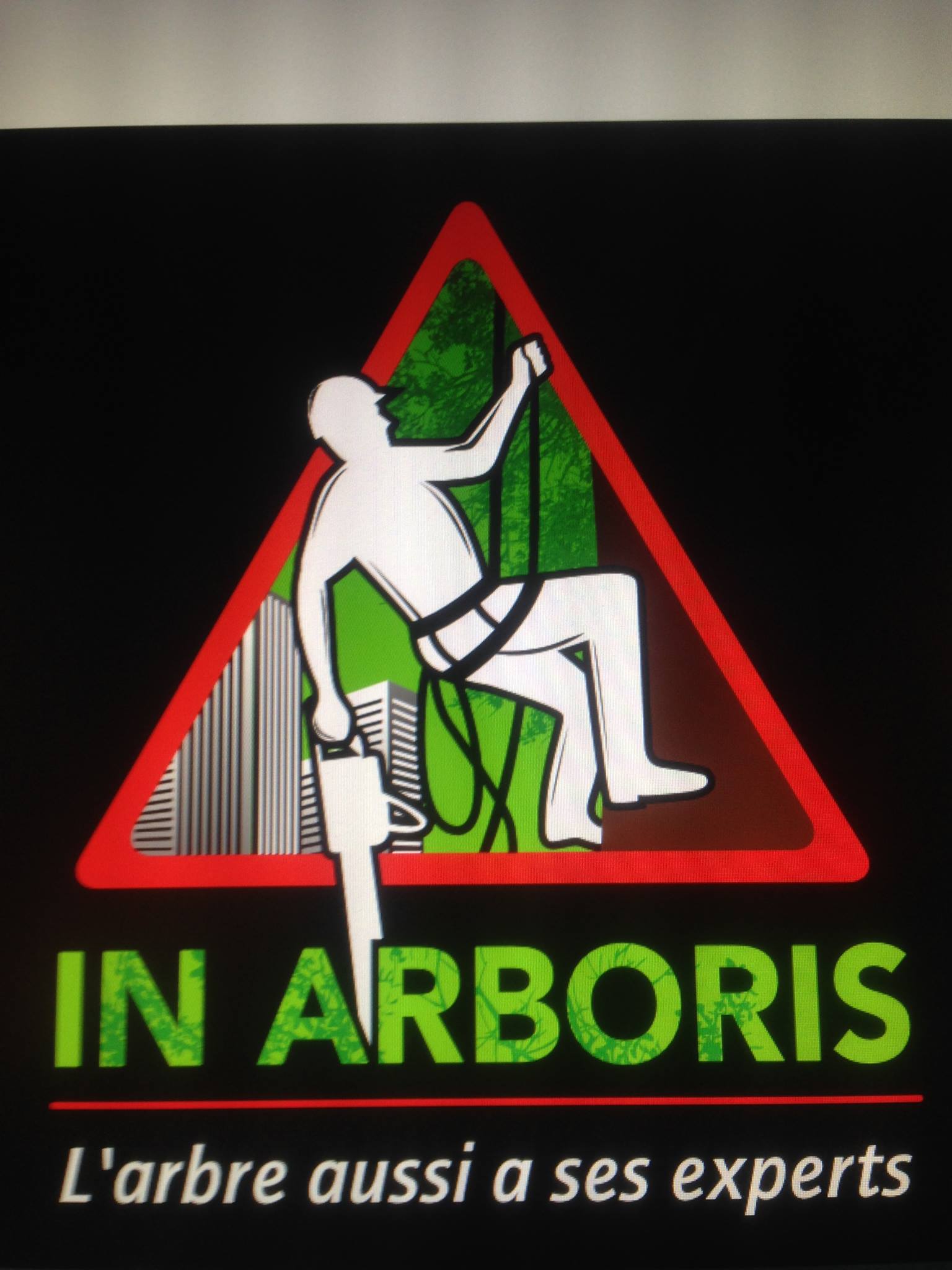 In arboris | Goin