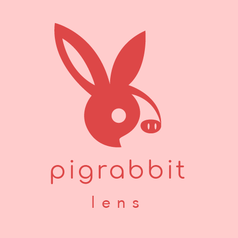 Pigrabbit