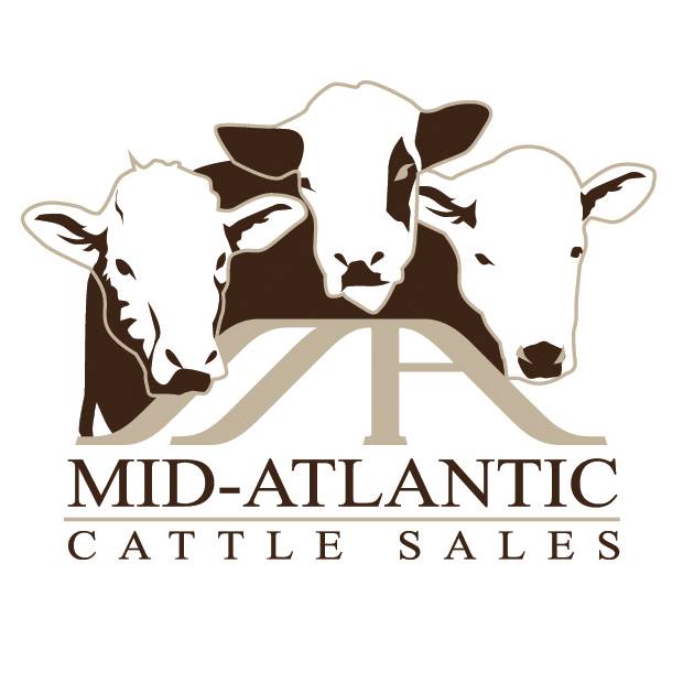 The sale order and update sheet is now available for our Fall Cow ...