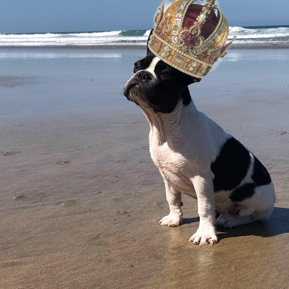 Rocco il Capo del Mondo