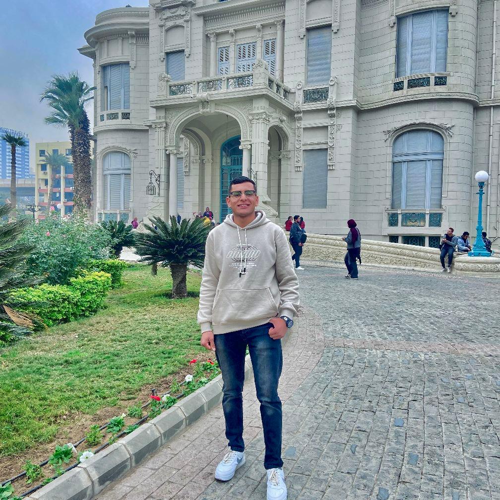 Omar Hany Abo Rashed