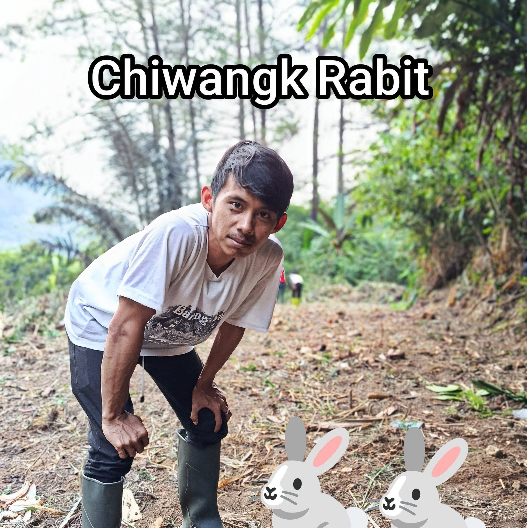 Rabbit Lovers🐰🇺🇸 | Facebook