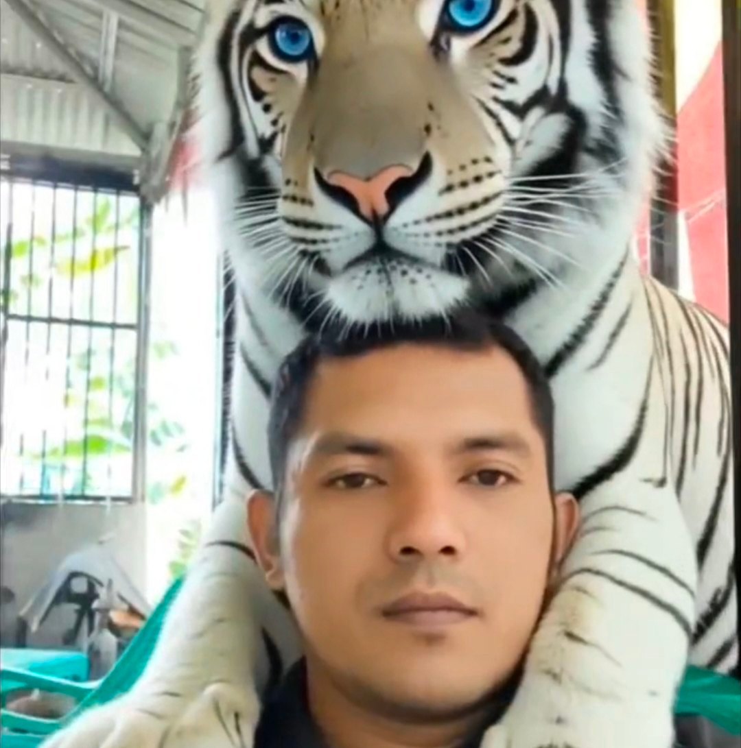 M Rayyan R