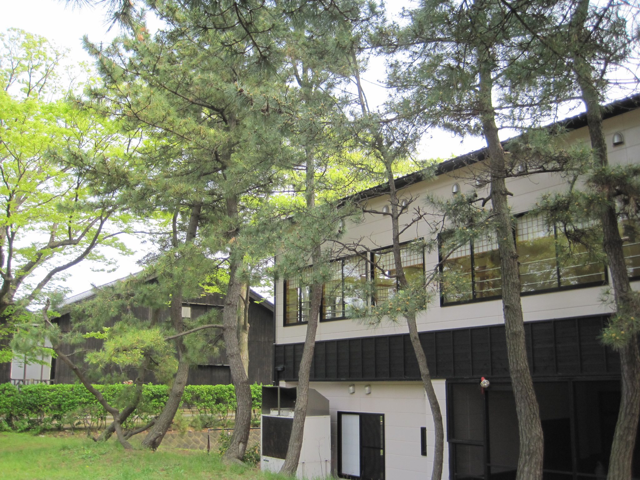 志 幡山 居 町 店