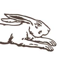 Run Rabbit Run | Castlemaine VIC