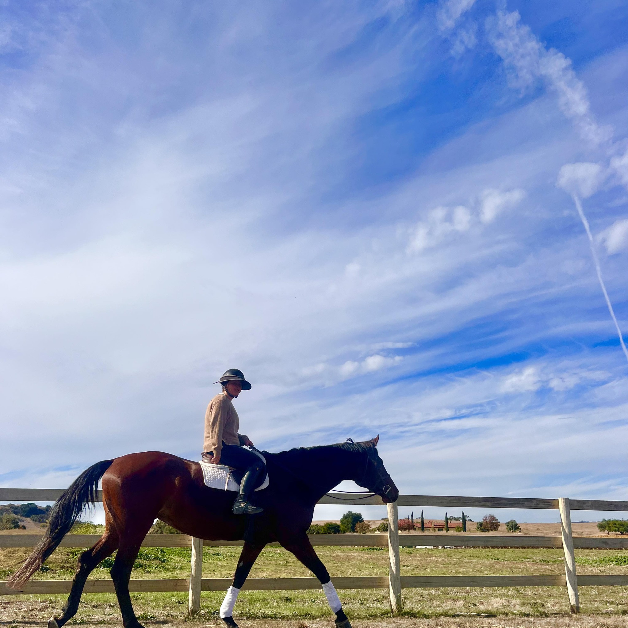 The Plaid Horse Thermal Classifieds | ISO: | Facebook