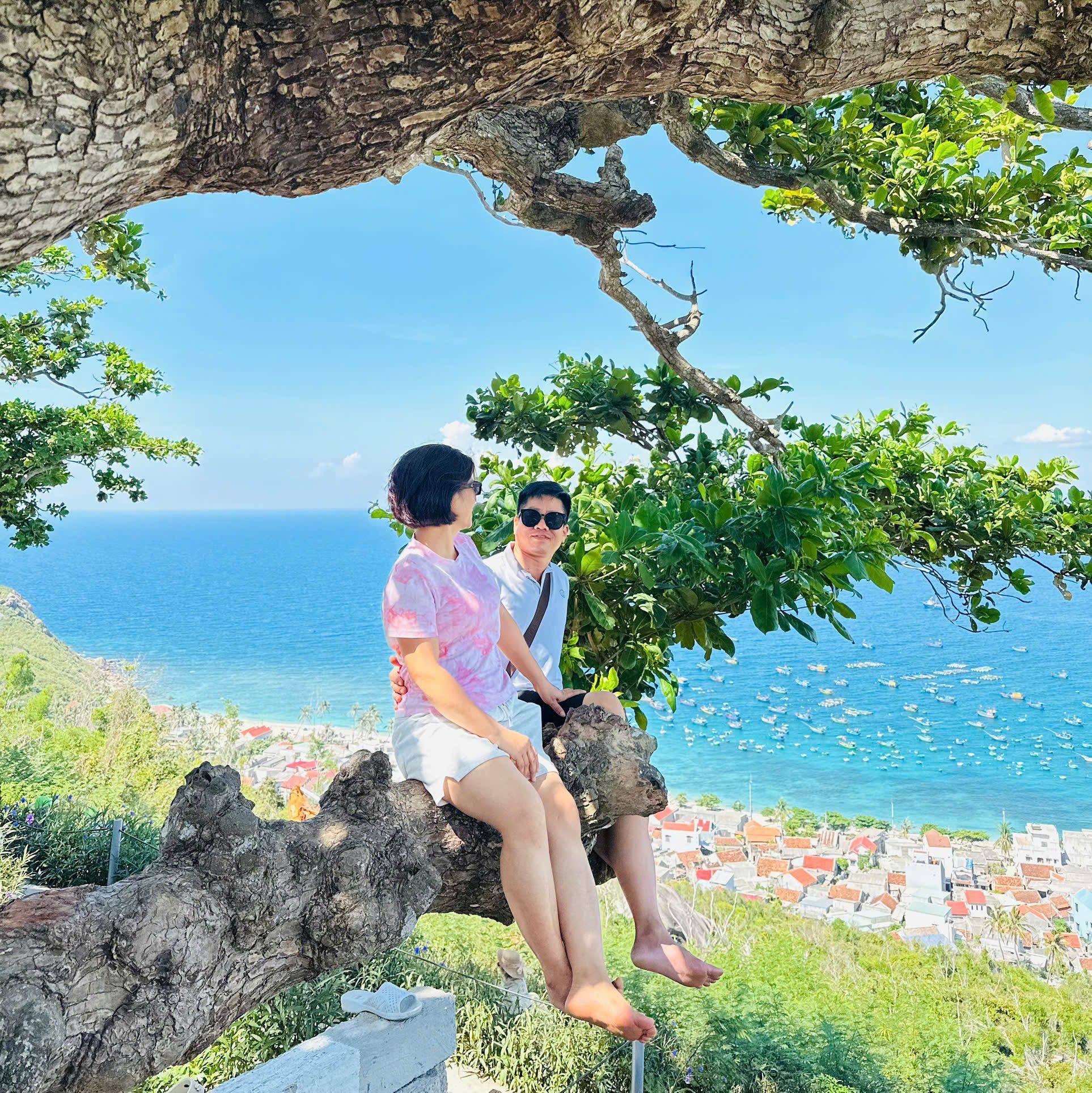 Túi đóng hàng-Túi gói hàng-Túi niêm phong giá rẻ | Trạm trôi hoài đức ...