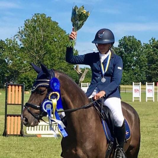 WestSign Equestrian | Åkersberga