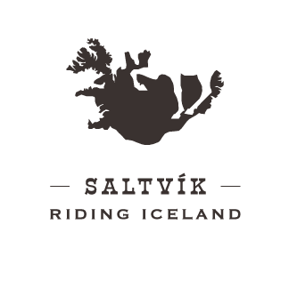 Saltvik Riding Tours | Húsavík