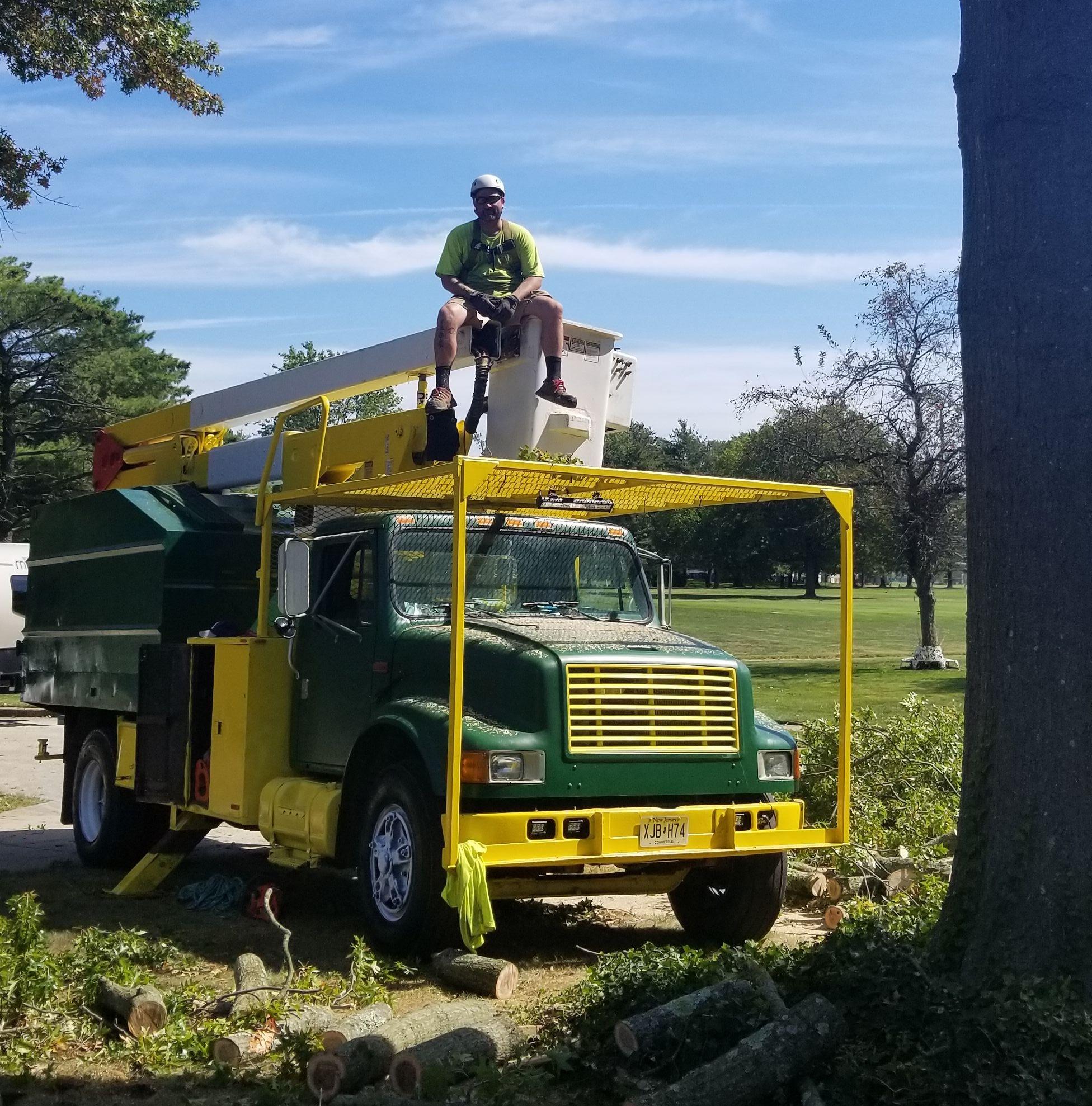 Pine Grove Tree Service LLC | Berlin NJ