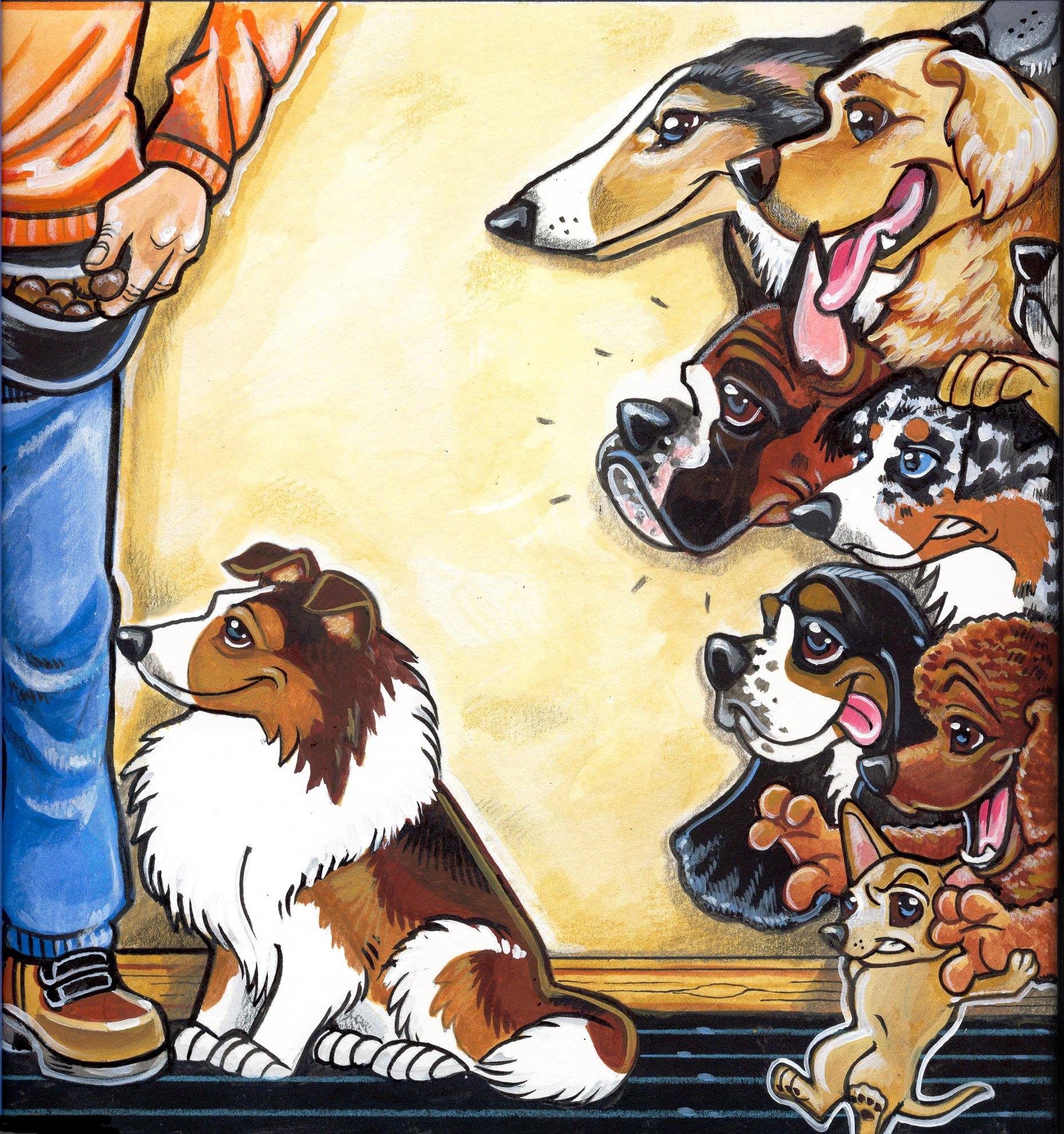 Shannon Darch Animates