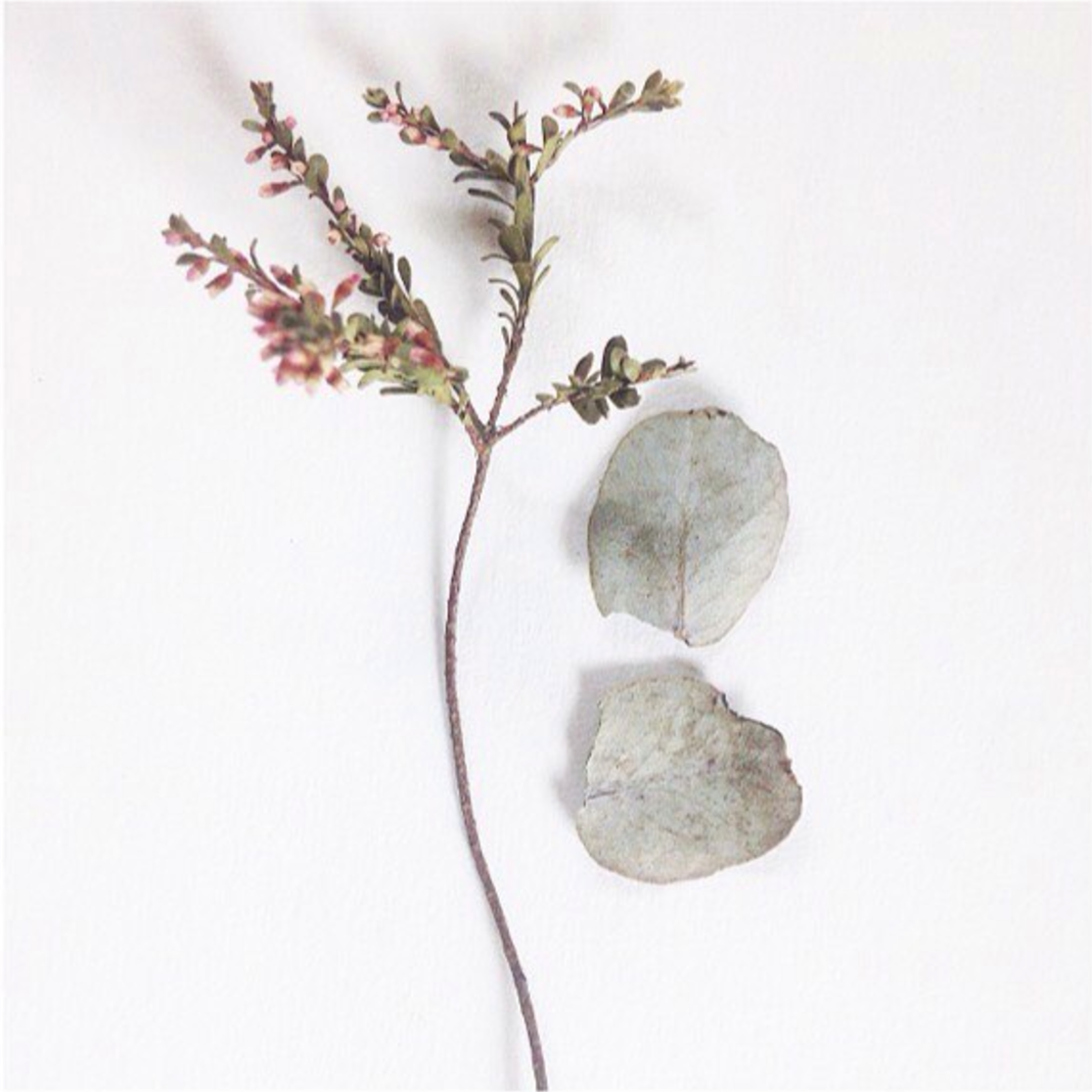 Sat, 24 Oct, 1:30pm - 4:30pm Good Bank Gallery McLaren Vale Phoebe ...