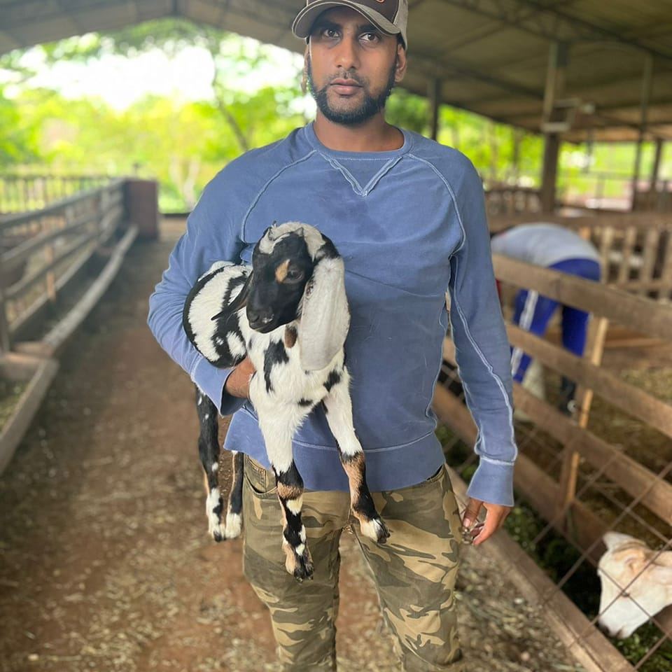 Guyana's Livestock & Farm Supplies | Facebook