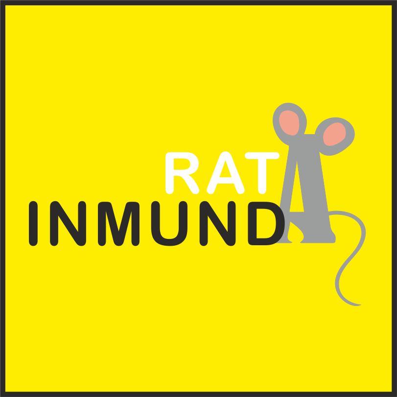 Rata inmunda | Alcantarilla