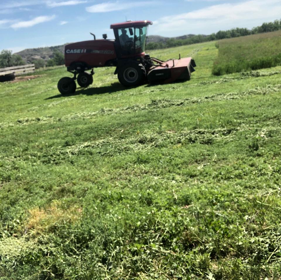 Dimond S Ranch | Marmarth ND