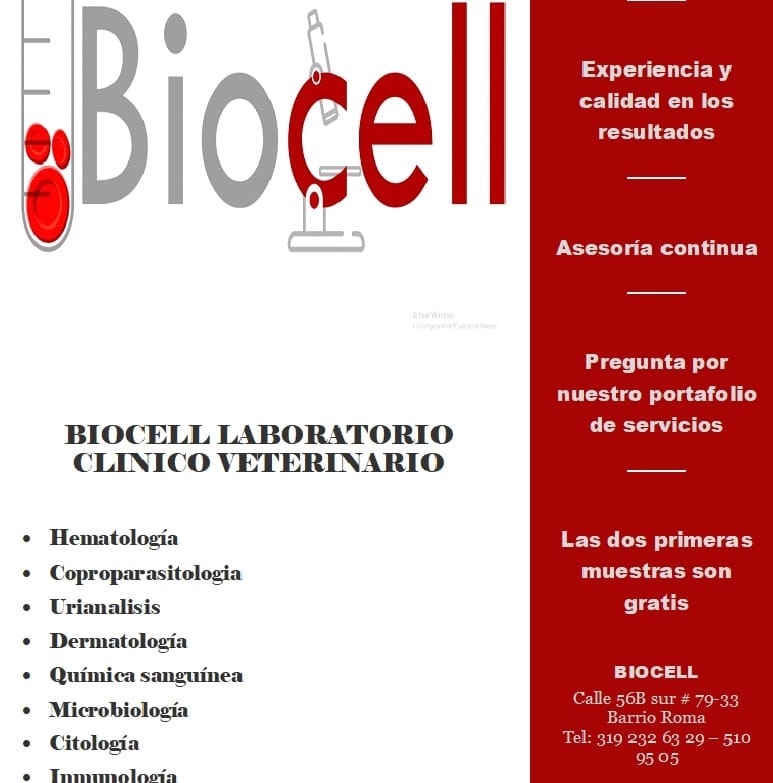 Biocell laboratorio clínico veterinario | Bogotá