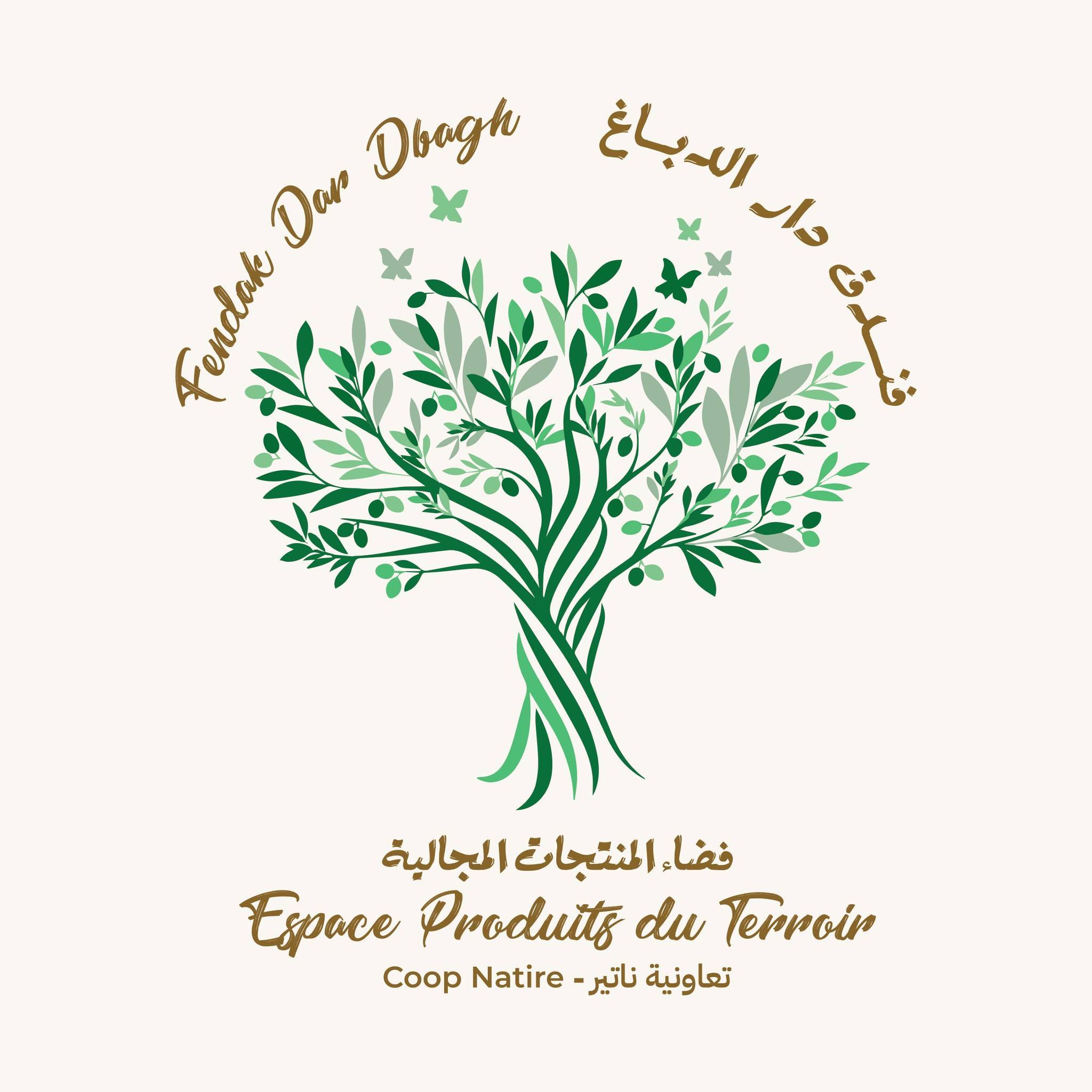 Fendak Dar Dbagh Tanger | Tangier