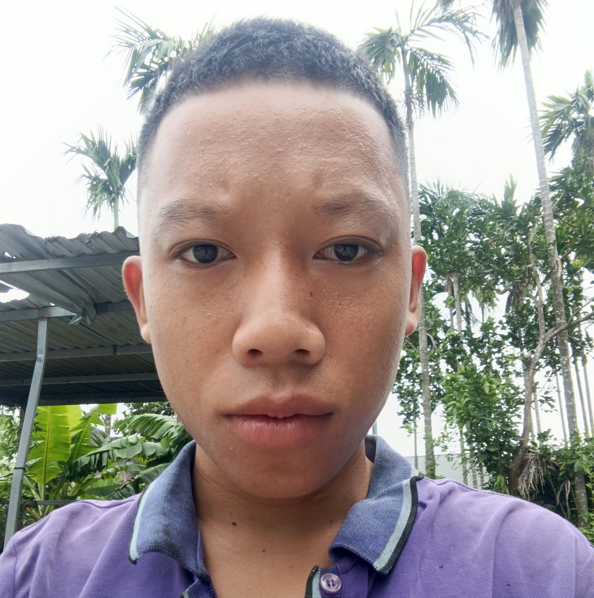 Vương Quốc Sủng Vật (Cộng Đồng Game Java) | Ae ai mod cheat game hỏa ấn ...