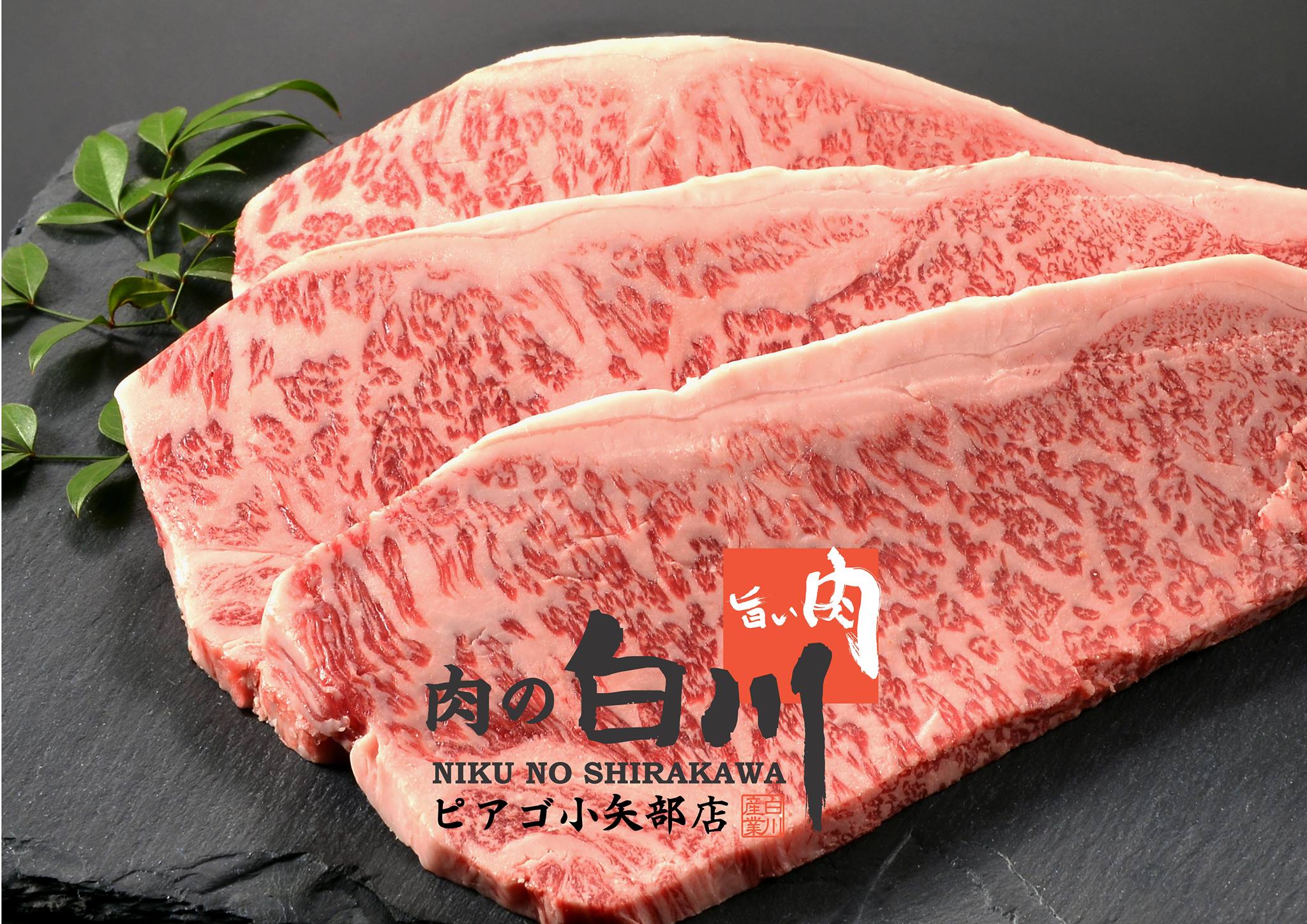 白川 精肉 店