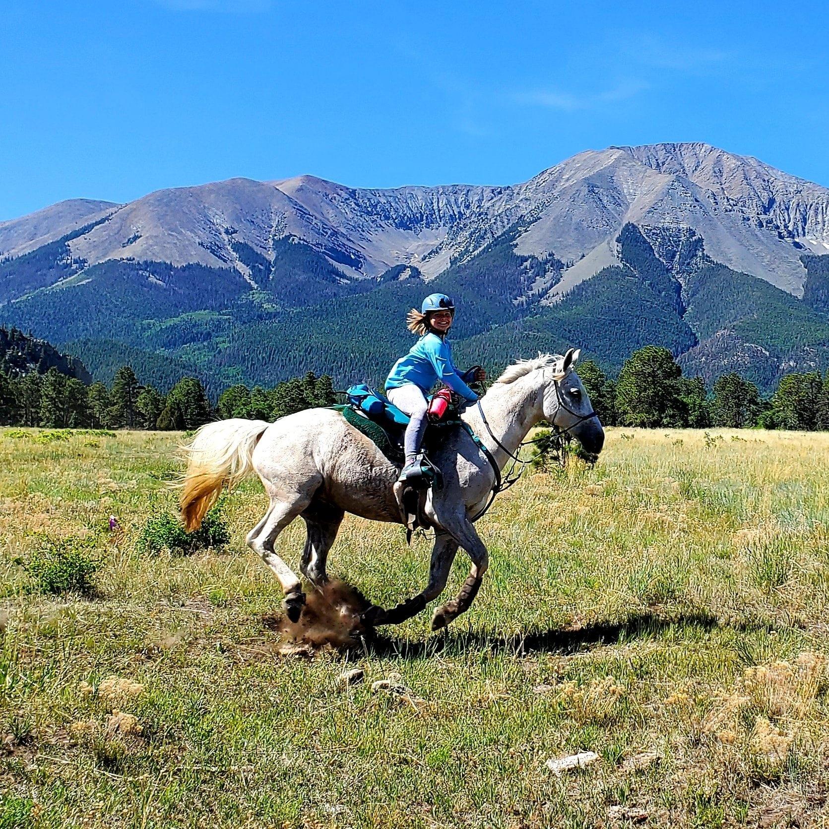 Western Distance Riders Alliance