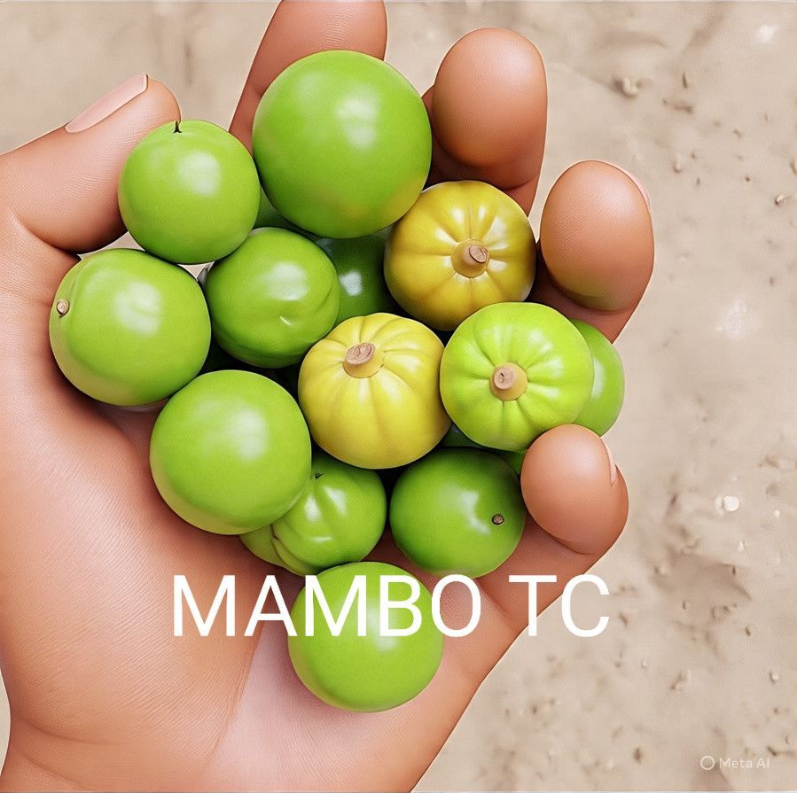Trymore Chatambarara