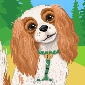 Dexter The Dog and Friends