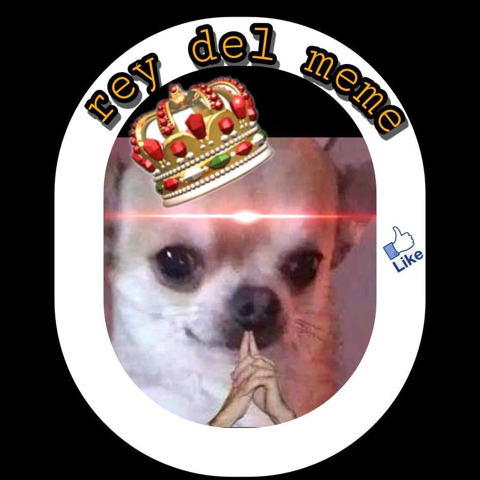 Rey del meme